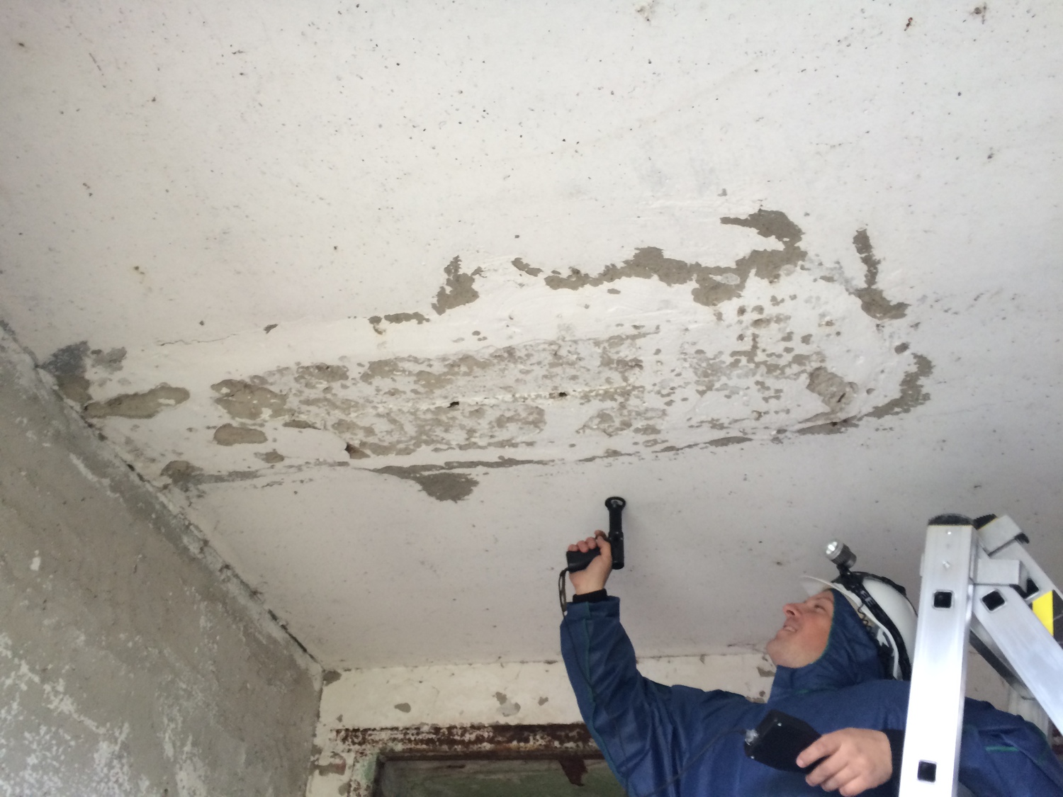 <span style="font-weight: bold;">Строительно-техническая и судебная экспертиза</span>